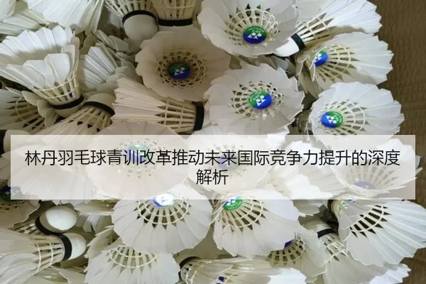 林丹羽毛球青训改革推动未来国际竞争力提升的深度解析